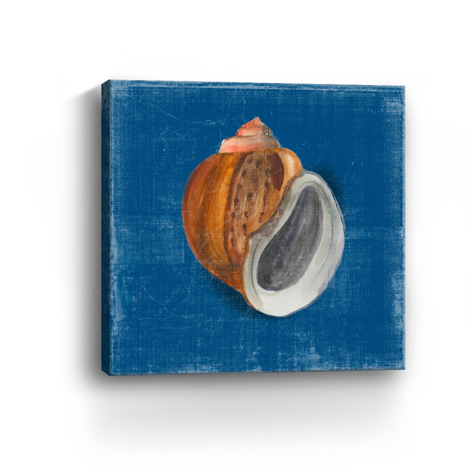Rosecliff Shell I Canvas Giclee